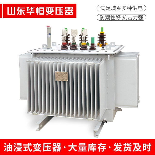 S13-10000/35株洲株洲株洲电力变压器